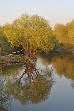 Yazın güzel bir göl, kırsal manzara 