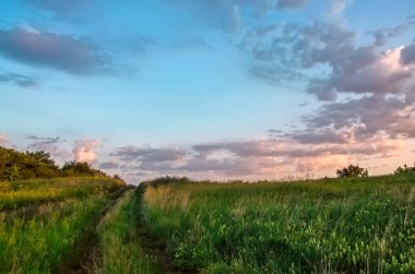 Volga deltasının tepelerinde yaz gündoğumu. Gün doğumunda kır çiçekler.