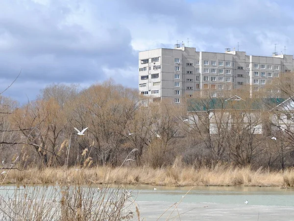 Ulyanovsk Russia July 2019 강에서 심부의 — 스톡 사진