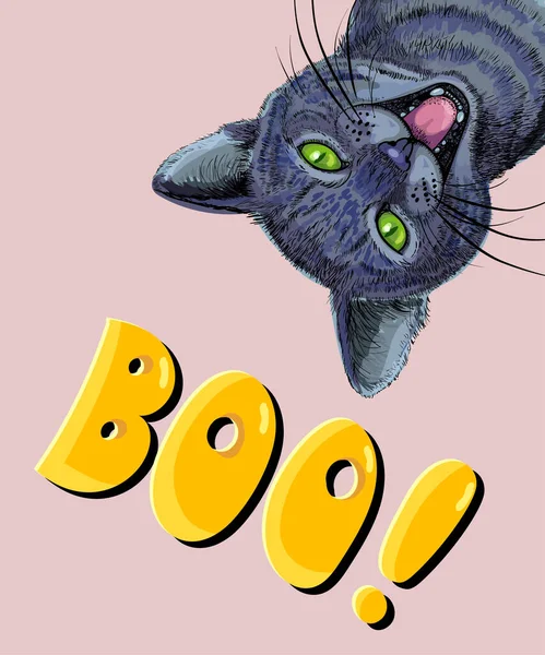 Prepare Postcard Poster Halloween Black Cat Inscription Boo Vector Illustration — Stock Photo, Image