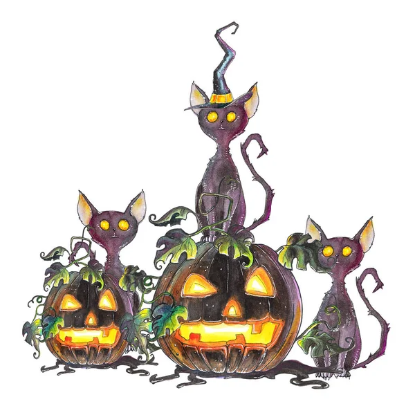 Black cats and pumpkins. Watercolor illustration for Halloween.