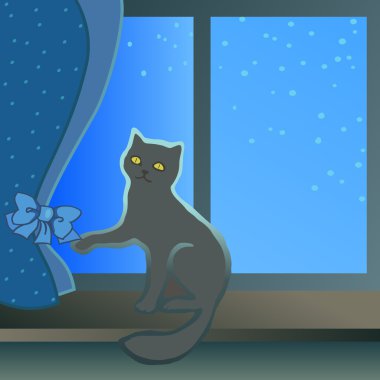 Bir pencere üzerinde oturan kedi