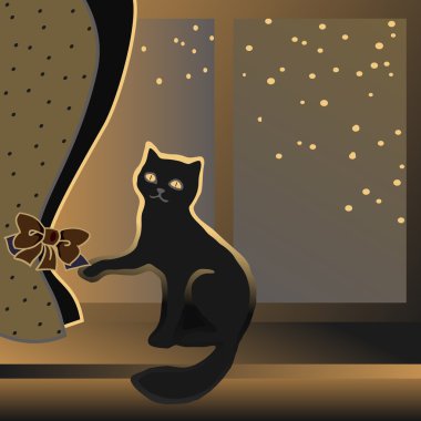 Kedi pencere pervazında oturuyor