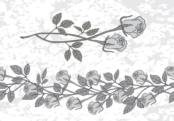 Set of two roses in a gray color and seamless border of roses. — Stock Vector