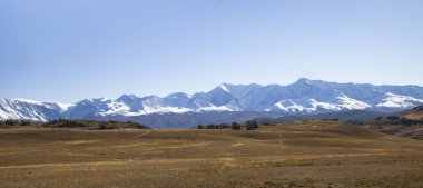 Altai Dağları 'na sonbahar gezisi. Aktru öküz otlağı