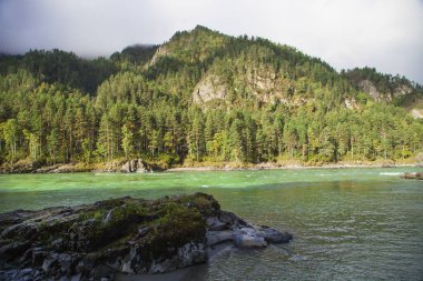         Altai dağlarına sonbahar gezisi, Katun nehri.