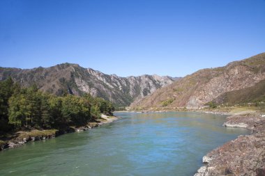         Altai dağlarına sonbahar gezisi, Katun nehri.