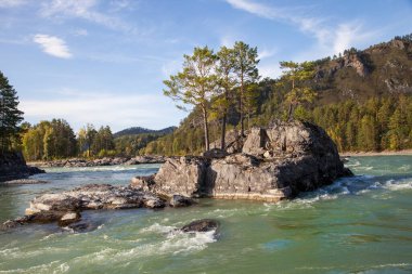         Altai dağlarına sonbahar gezisi, Katun nehri.