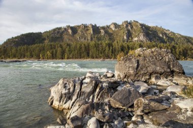         Altai dağlarına sonbahar gezisi, Katun nehri.