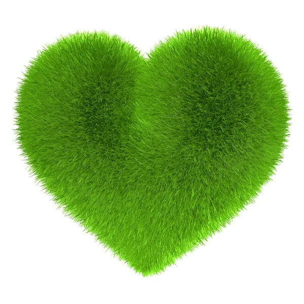 Heart in fur green eco — Stock Photo, Image