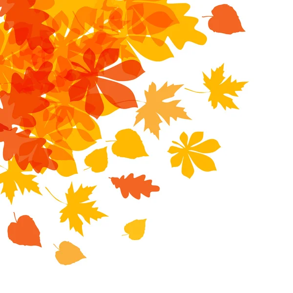 Vecteur de feuilles d'automne jaune orange sur fond blanc . — Image vectorielle
