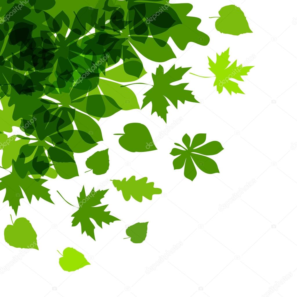 Vector of spring green leaves.