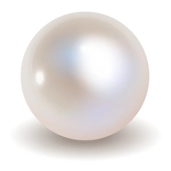 白い背景の上の真珠のベクトル. — ストックベクタ