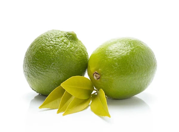 Fresh ripe lime — Stock Photo, Image