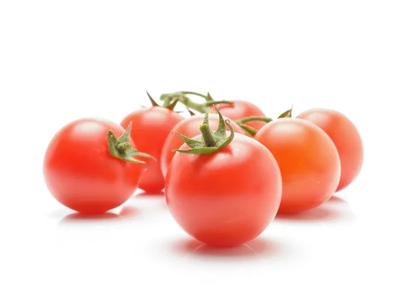 Tros verse tomaten — Stockfoto