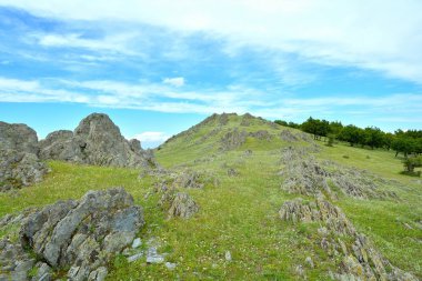Alan kayalar ve zeytin ağaçları