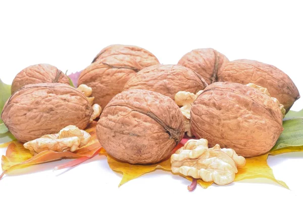 Nueces aisladas sobre fondo blanco — Foto de Stock