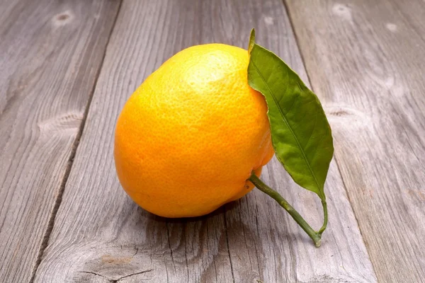 Orange mandarin atau buah tangerine — Stok Foto