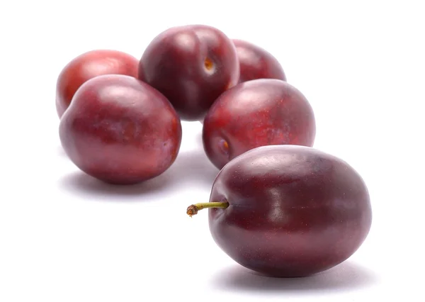 Plums isolated on white background — Stock Photo, Image