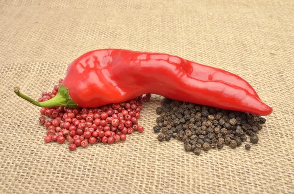 Rode hete chili peper — Stockfoto