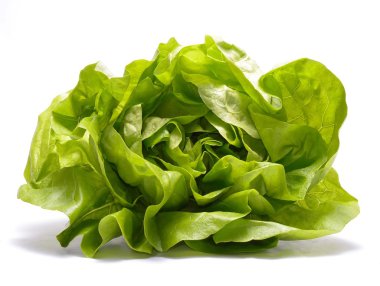 Beyaz arkaplanda taze marul izole edildi