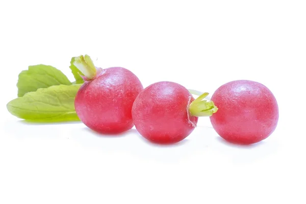 Garden radish — Stock Photo, Image