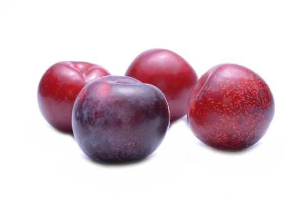 Ripe plums fruit — Stock Photo, Image