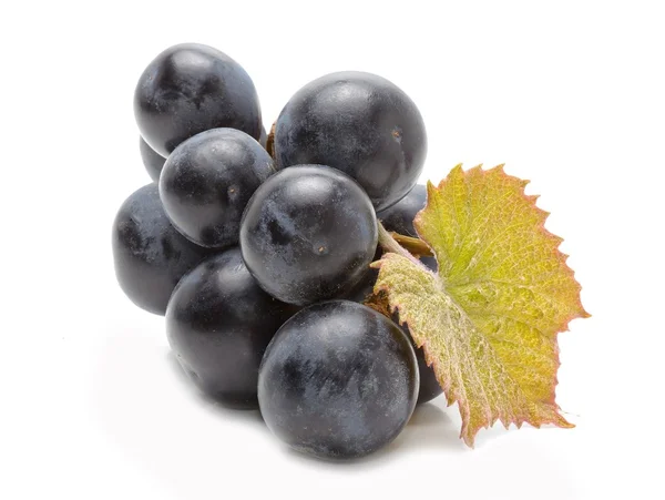 Ripe grapes with leaf — Stock Photo, Image