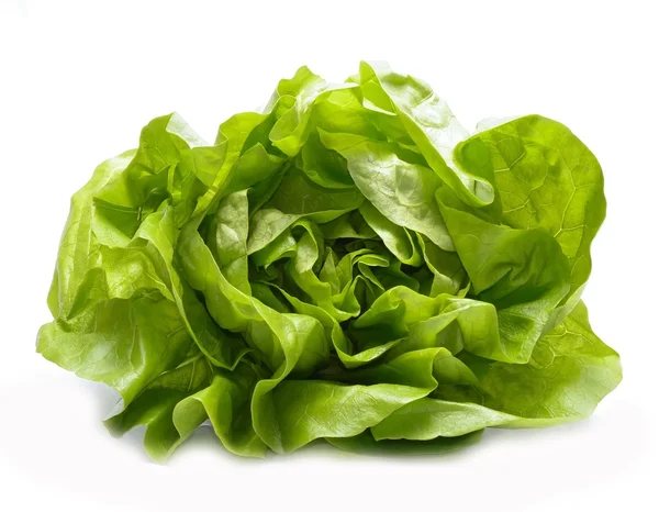 Fresh lettuce isolated on white background — Stock Photo, Image