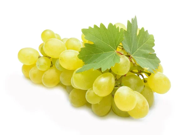 Uvas frescas con hojas — Foto de Stock