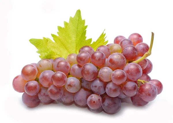 Uvas frescas con hojas — Foto de Stock