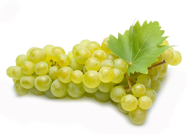 Uva fresca con foglie — Foto Stock