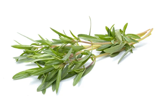 Thyme fresh herb — Stock Photo, Image