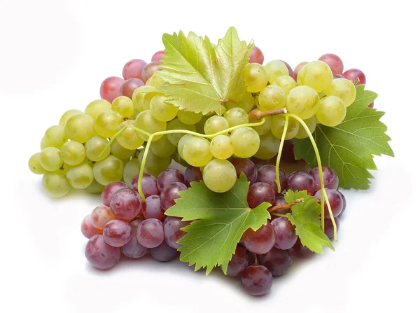 Fresh grapes with leaves Stock Picture