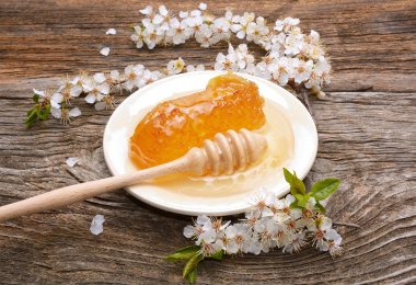 Tatlım, petek ve kayısı çiçek