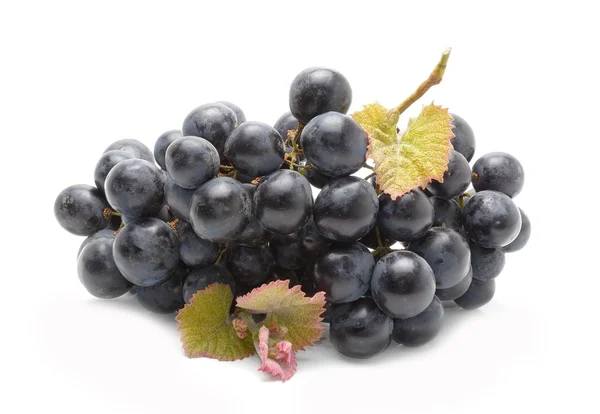 Red grapes with leaf — Stock Photo, Image