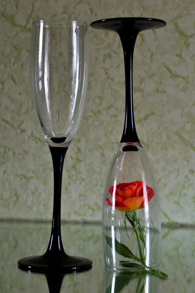 Rose in a glass — Stock Photo, Image