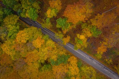 Visegrad, Macaristan - Ormandaki kıvrımlı yolun havadan görünüşü, sonbahar havası, ılık sonbahar renkleri. Yeşil, kırmızı sarı ve turuncu renkli ağaçlar.