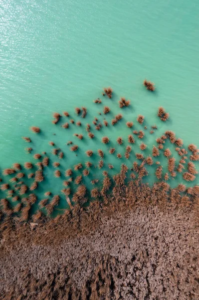 Zanka Hungría Vista Aérea Sobre Formación Hermosas Cañas Con Agua —  Fotos de Stock