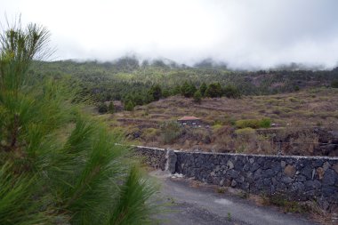 La Palma Adası yerinden. Kanarya Adası. İspanya.
