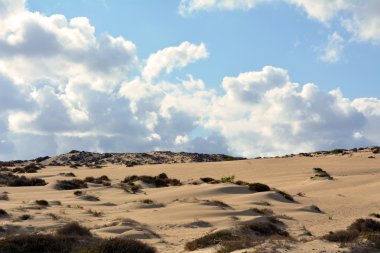 Dunes Corralejo, Fuerteventura, Kanarya Adaları, İspanya