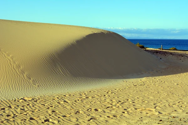 Duinen van Corralejo Fuerteventura, Canarische eilanden, Spanje — Stockfoto