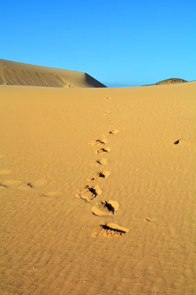 Dűnék Fuerteventura, Kanári-szigetek, Corralejo, Spanyolország — Stock Fotó