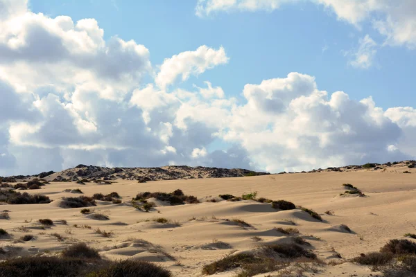 Dunes of Corralejo, Fuerteventura, Canary Islands, Spain — Stock Photo, Image