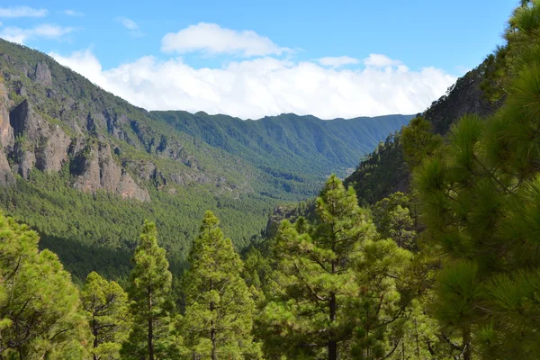 Caldera de taburiente la palma, canary Islands, İspanya. — Stok fotoğraf