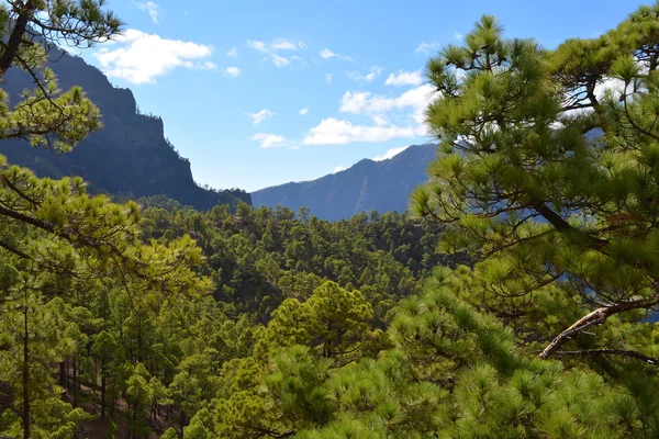 Sahne, Milli Parkı, La Caldera de Taburiente La Palma, İspanya. — Stok fotoğraf