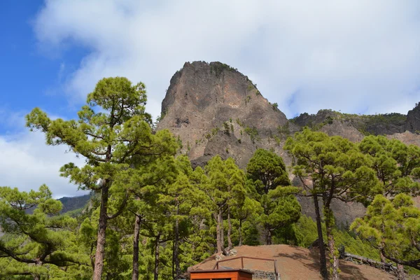 Caldera de taburiente la palma, canary Islands, İspanya. — Stok fotoğraf