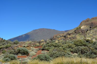 volkanik manzara üzerinde teide, tenerife, Kanarya Adaları, İspanya