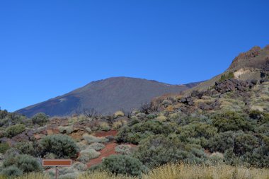 Sahne Teide Milli Parkı, Tenerife, Kanarya Adaları, İspanya volkana '