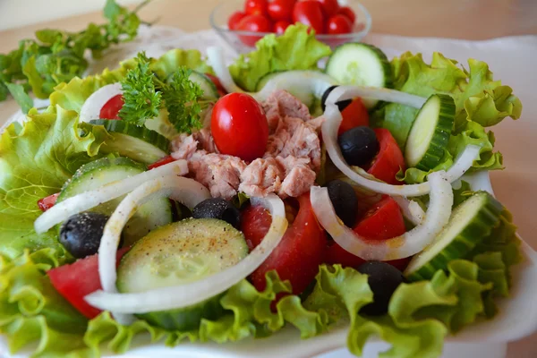 Blandade grönsakssallad med tonfisk och olivolja — Stockfoto